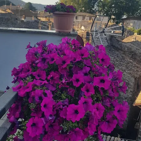 Italia Guest house