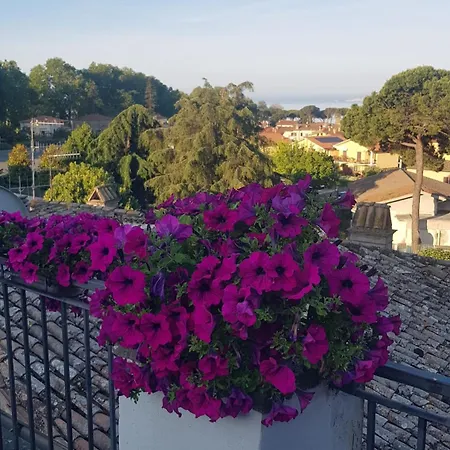 Italia Guest house